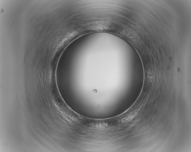 X0000060240304200510281126