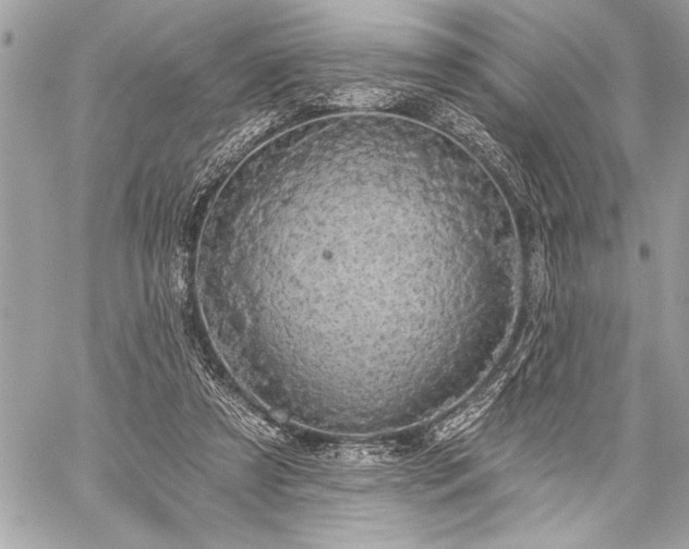 X0000060240305200510281126