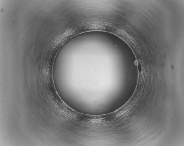 X0000060240306200510281126