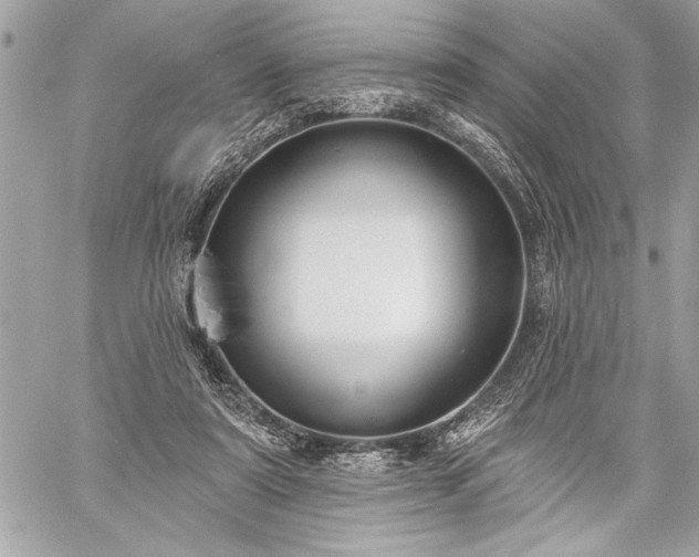 X0000060240307200510281126