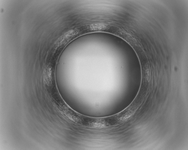 X0000060240308200510281126