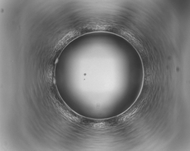 X0000060240309200510281126