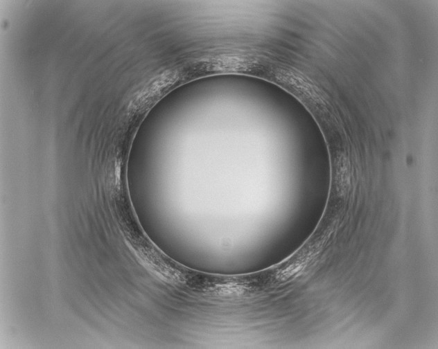 X0000060240310200510281126