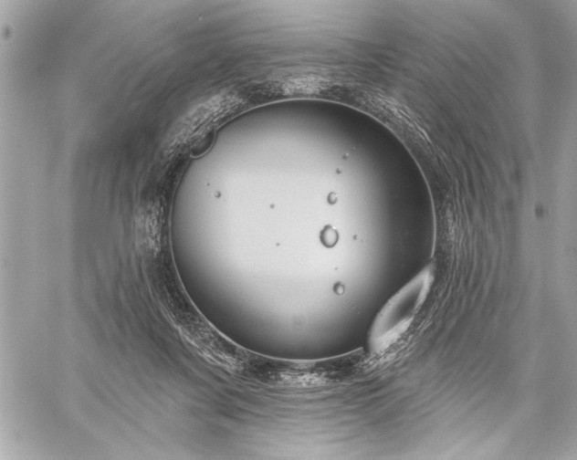 X0000060240311200510281126