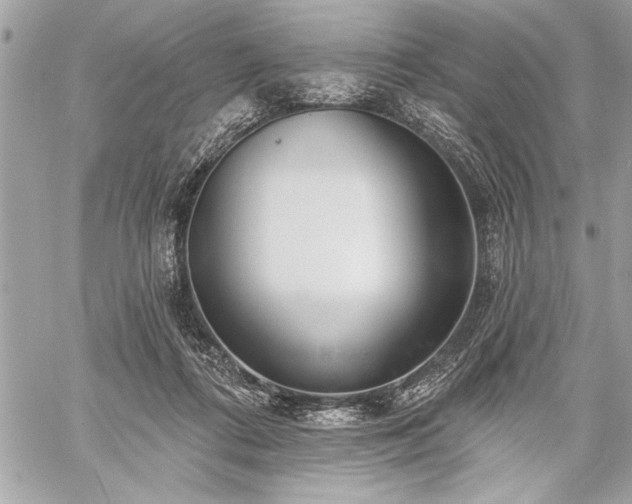 X0000060240312200510281126