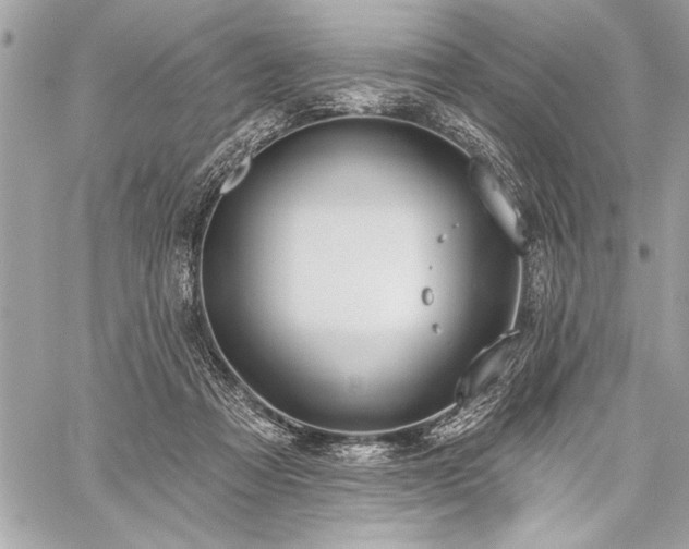 X0000060240313200510281126