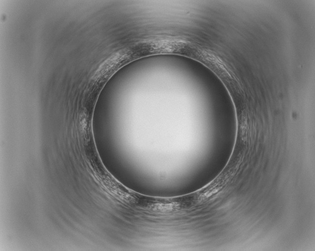 X0000060240314200510281126