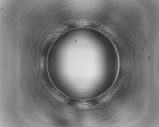 X0000060240315200510281126