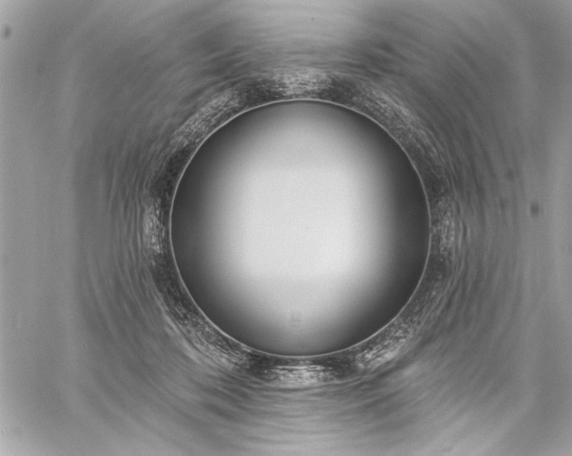 X0000060240316200510281125