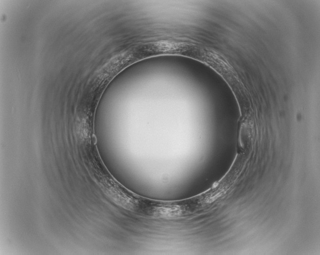 X0000060240317200510281125