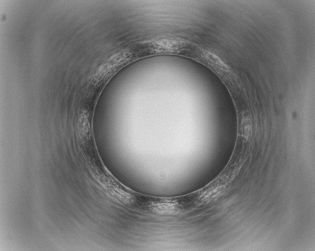 X0000060240318200510281125