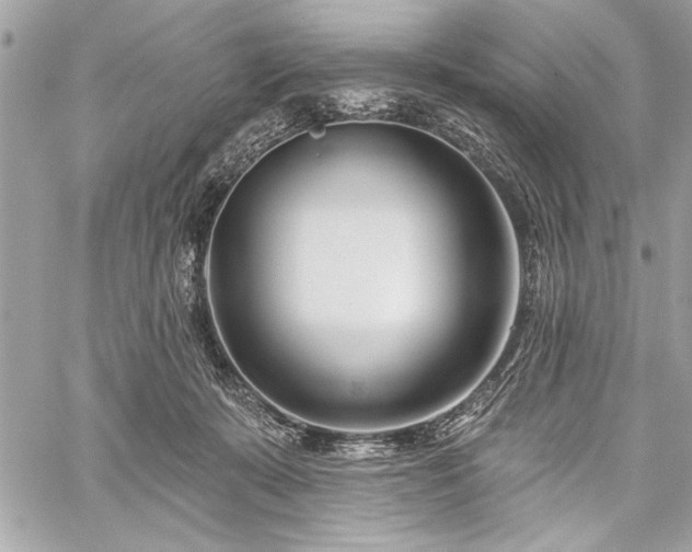 X0000060240319200510281125