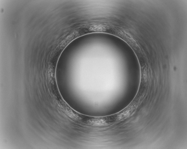 X0000060240322200510281125