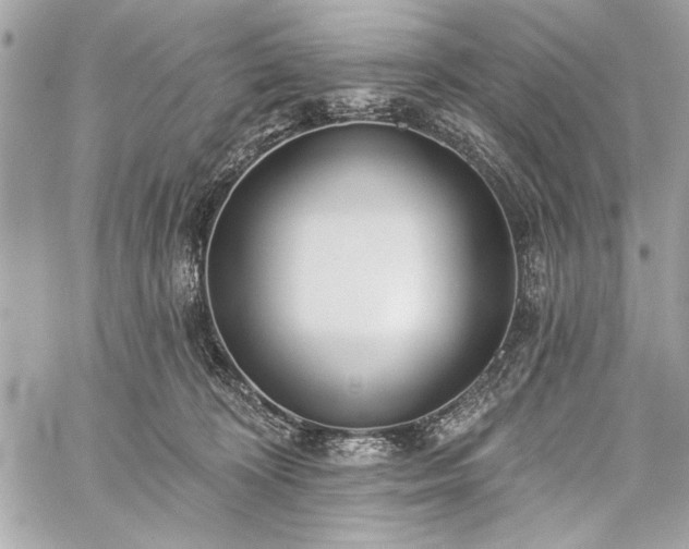 X0000060240324200510281125