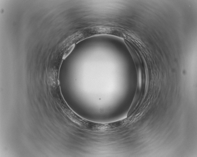 X0000060240325200510281125