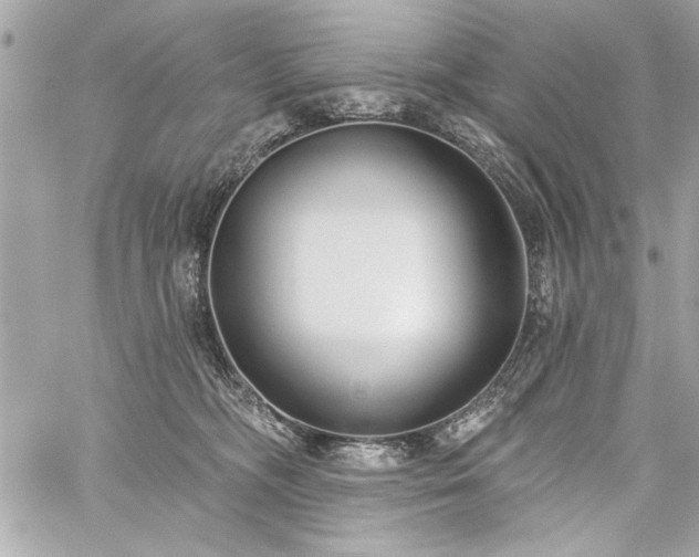 X0000060240326200510281125