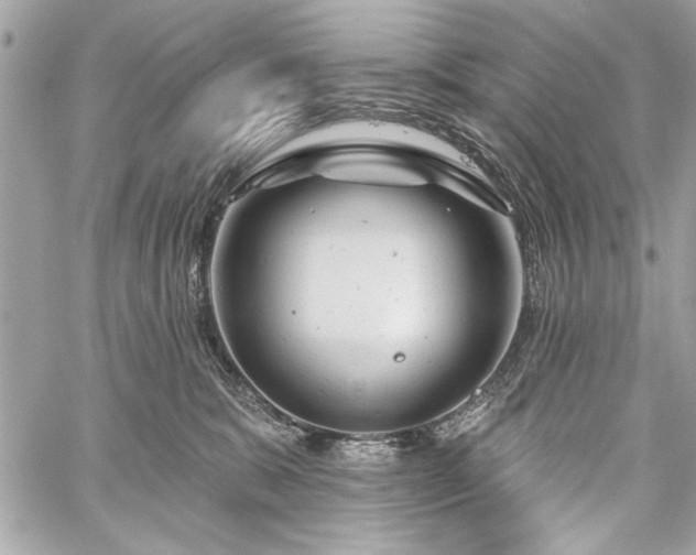 X0000060240327200510281125