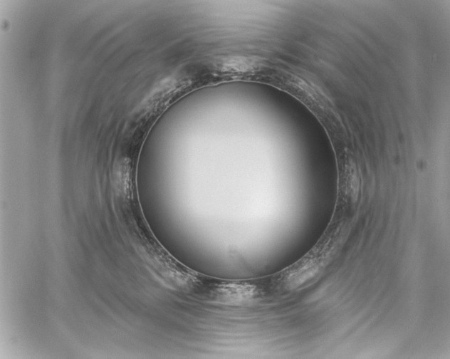 X0000060240328200510281125