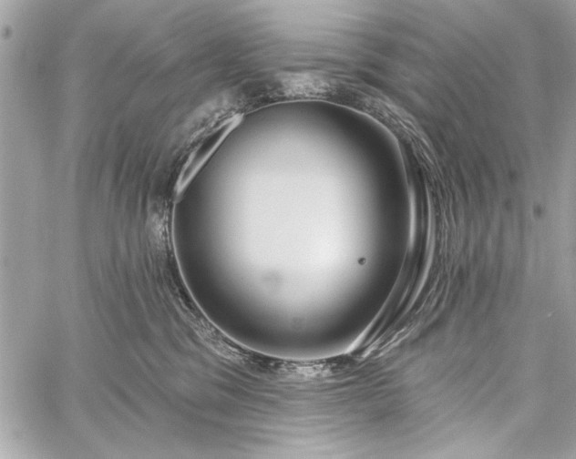 X0000060240329200510281125