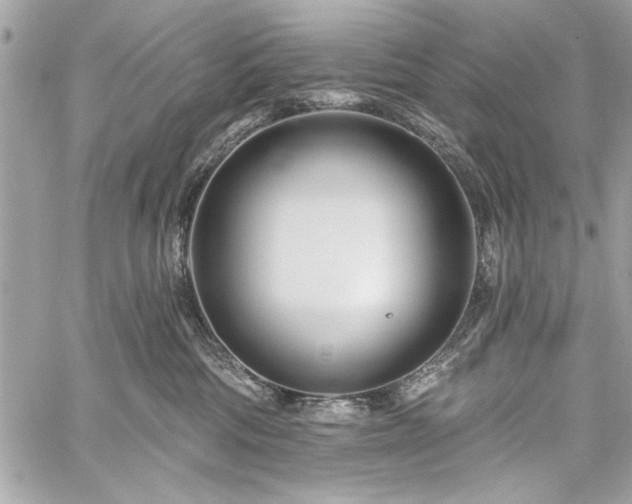 X0000060240330200510281125