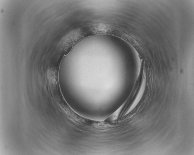 X0000060240331200510281125