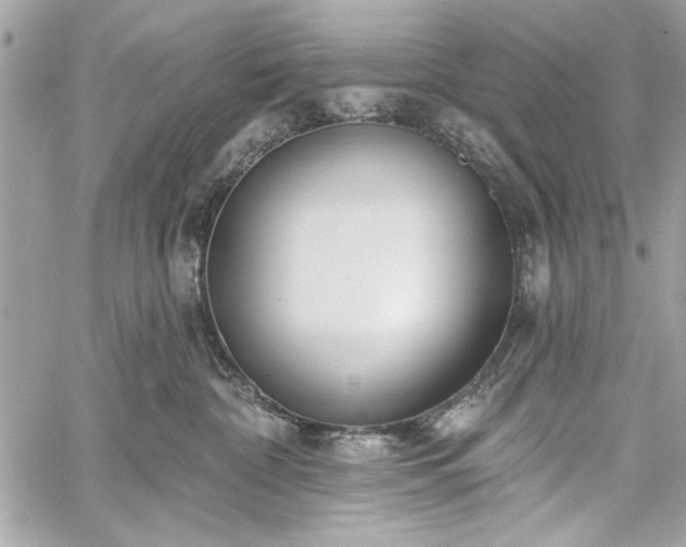 X0000060240332200510281125