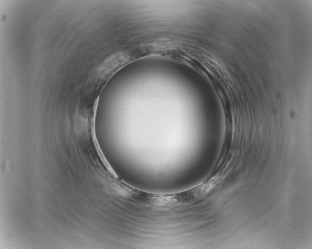 X0000060240333200510281125