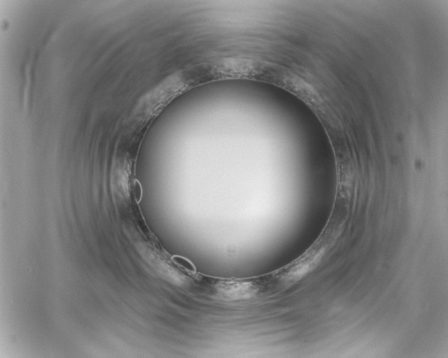 X0000060240334200510281125