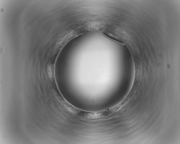 X0000060240335200510281125