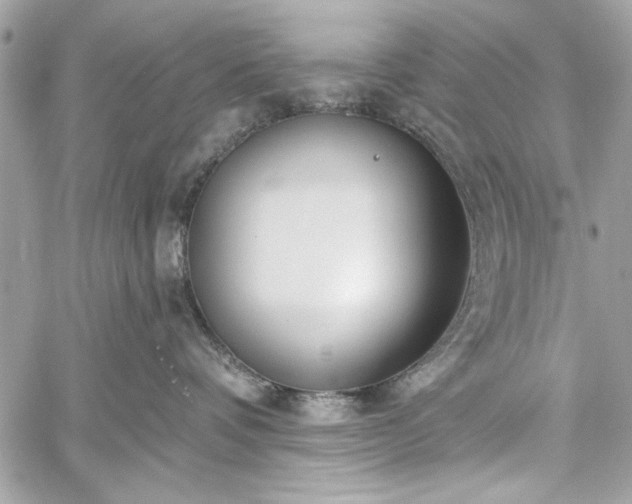 X0000060240336200510281125