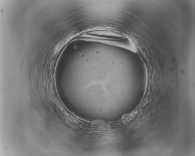 X0000060240337200510281124