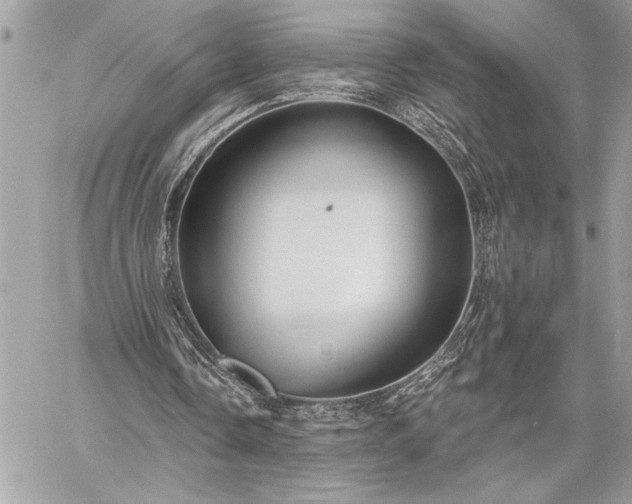 X0000060240338200510281124