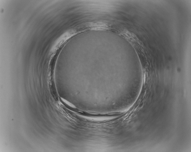 X0000060240339200510281124