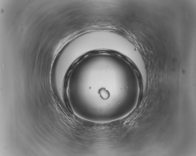 X0000060240340200510281124