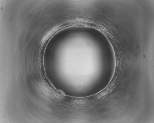 X0000060240341200510281124