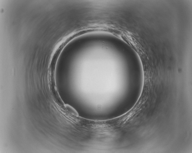 X0000060240342200510281124