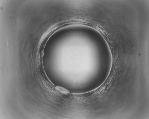 X0000060240343200510281124