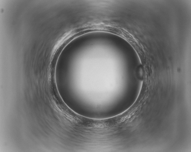 X0000060240344200510281124