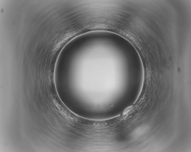 X0000060240345200510281124