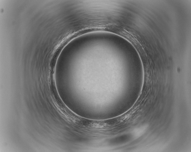 X0000060240346200510281125