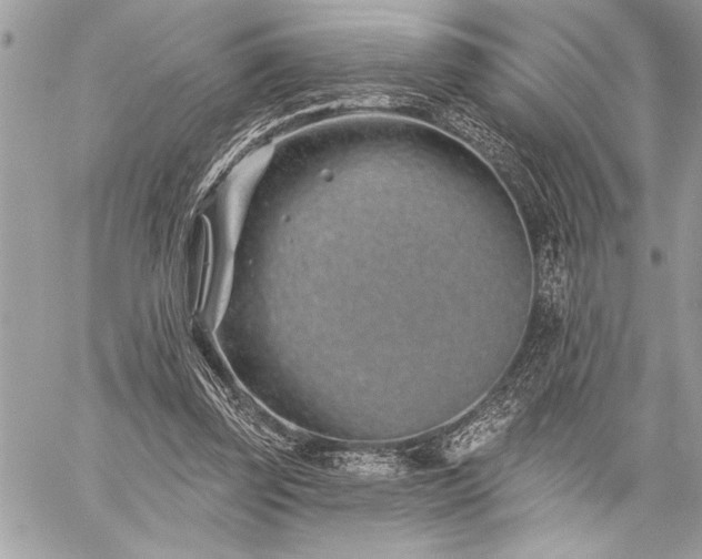 X0000060240347200510281125