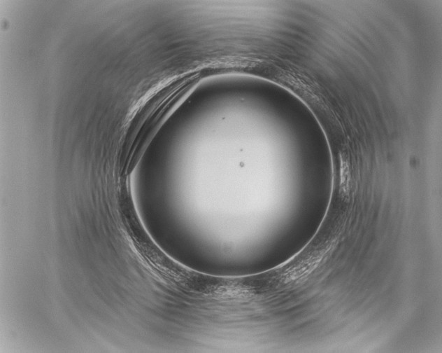 X0000060240348200510281125