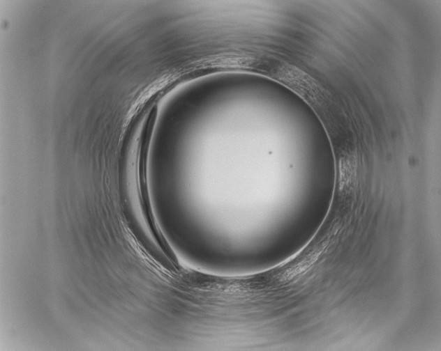 X0000060240349200510281125