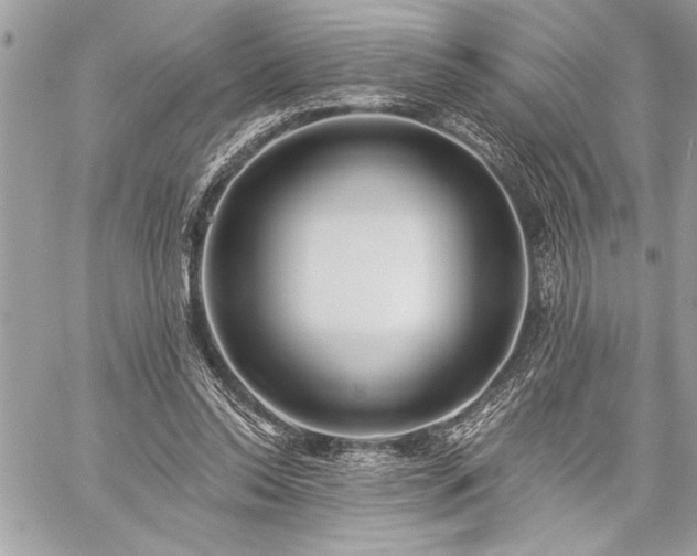 X0000060240350200510281125