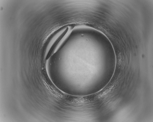 X0000060240351200510281125