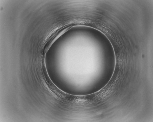 X0000060240352200510281125