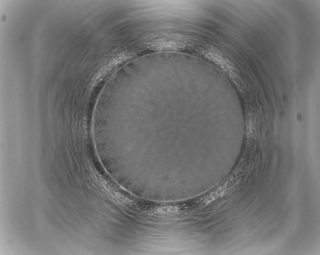 X0000060240353200510281125