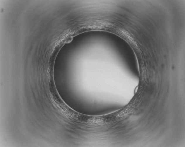 X0000060240354200510281125