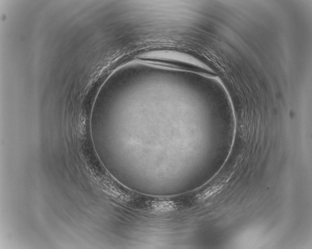 X0000060240355200510281125