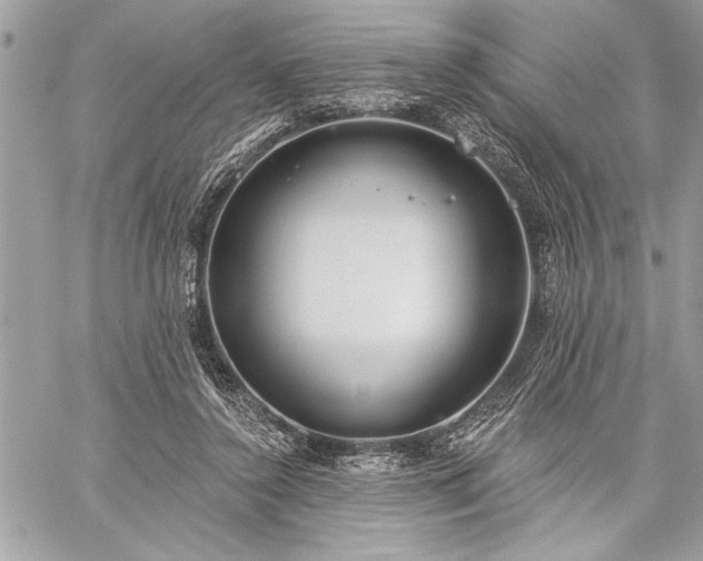 X0000060240356200510281125